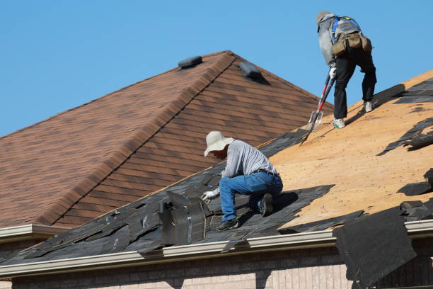 Best Chimney Flashing Repair  in Astor, FL